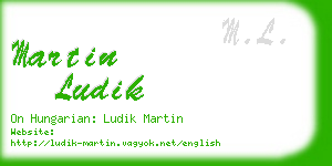 martin ludik business card